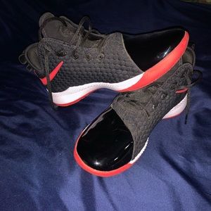 Lebron Akron 330’s